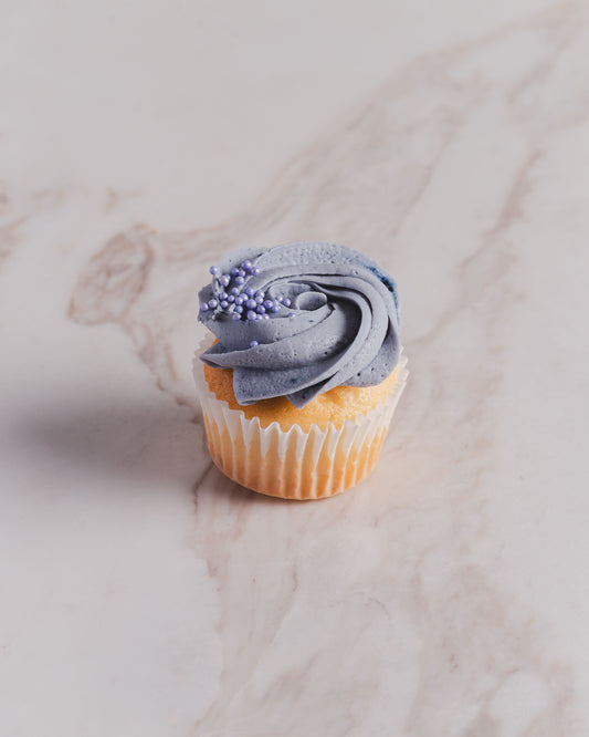 Blueberry Cupcake - mini